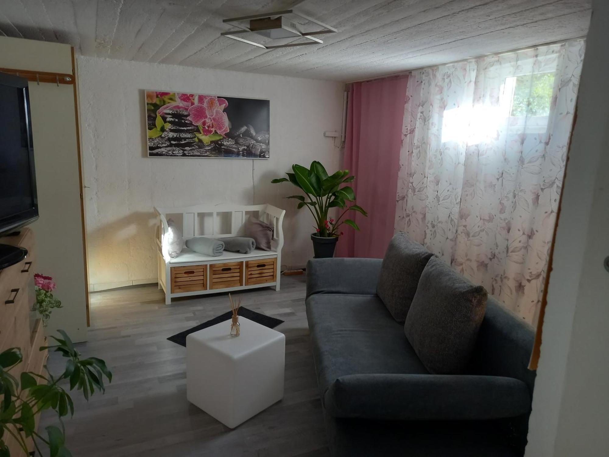 60 M² Ferienapartment Zentrumsnahe Mit Gartenbenutzung Steyr